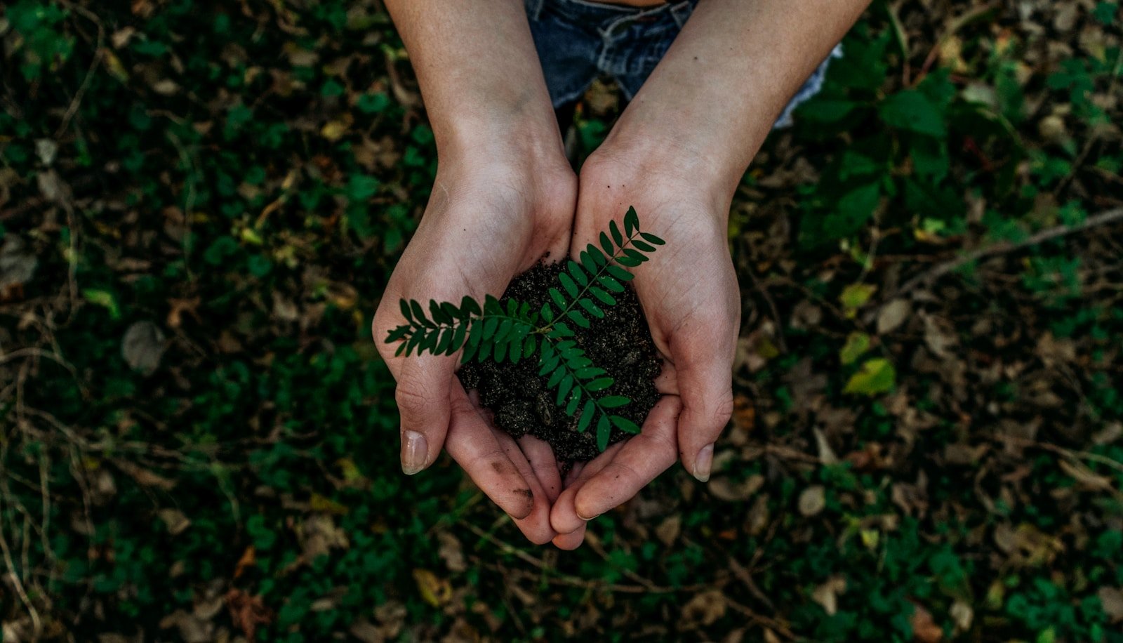 Women Entrepreneurs Turning Sustainability Into Opportunity